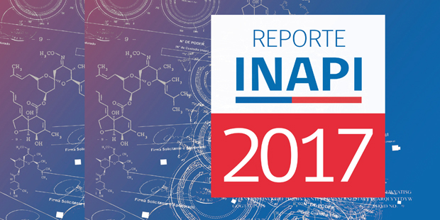 Reporte INAPI 2017 Reporte INAPI 2017