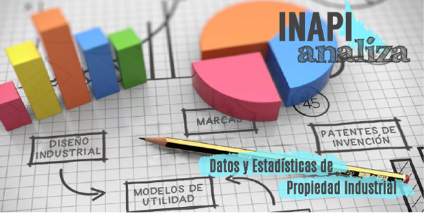 INAPI Analiza INAPI Analiza