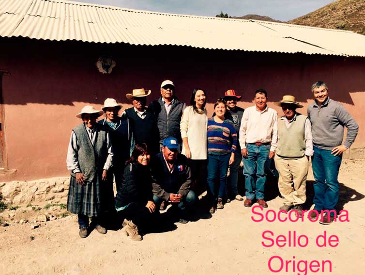 INAPI participa en el lanzamiento de nodo de Corfo en Arica, que busca potenciar a las aceitunas de Azapa como Indicación Geográfica